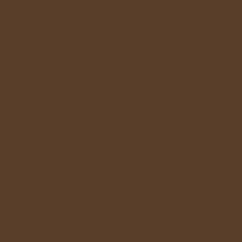 Dunkelbraun (RAL 8077)